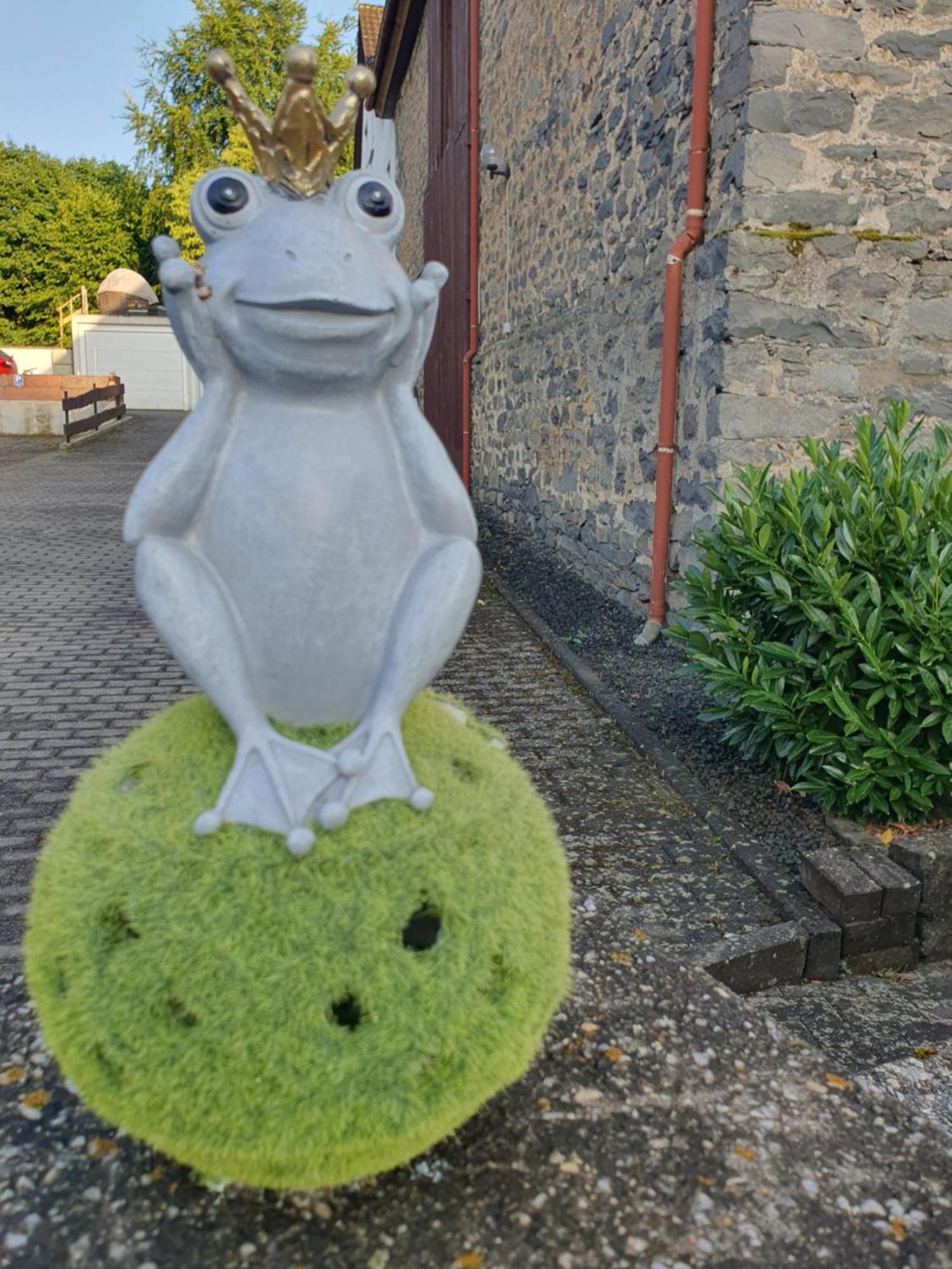 Casa Vogelsberg Schotten Exterior foto